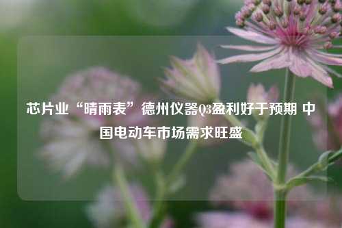 芯片业“晴雨表”德州仪器Q3盈利好于预期 中国电动车市场需求旺盛