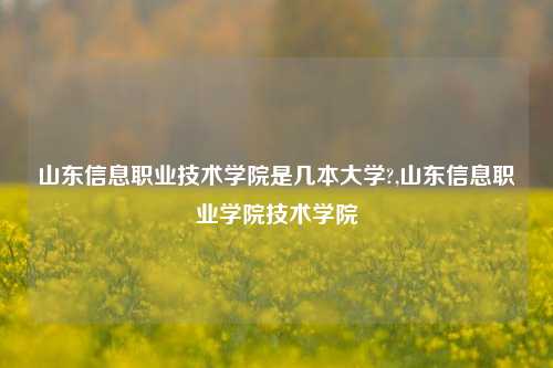 山东信息职业技术学院是几本大学?,山东信息职业学院技术学院