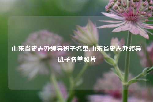 山东省史志办领导班子名单,山东省史志办领导班子名单照片