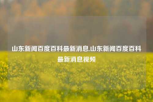 山东新闻百度百科最新消息,山东新闻百度百科最新消息视频