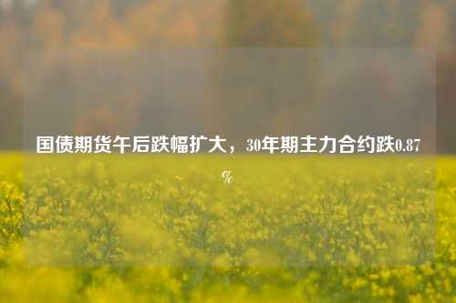 国债期货午后跌幅扩大，30年期主力合约跌0.87%