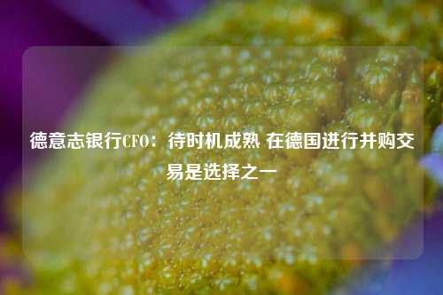 德意志银行CFO：待时机成熟 在德国进行并购交易是选择之一