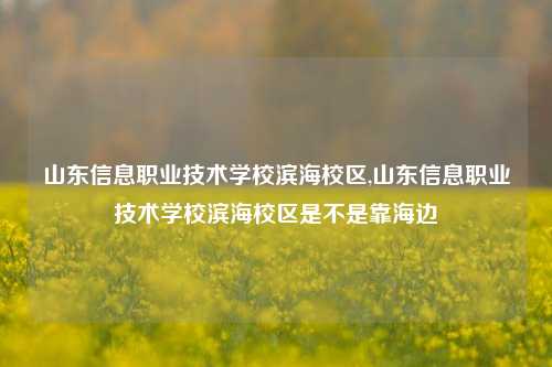 山东信息职业技术学校滨海校区,山东信息职业技术学校滨海校区是不是靠海边