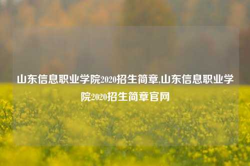 山东信息职业学院2020招生简章,山东信息职业学院2020招生简章官网