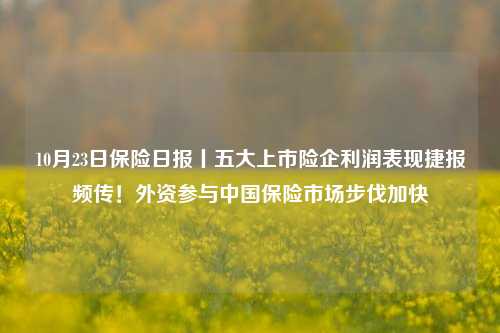 10月23日保险日报丨五大上市险企利润表现捷报频传！外资参与中国保险市场步伐加快