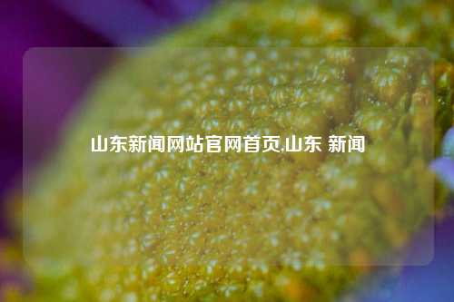 山东新闻网站官网首页,山东 新闻