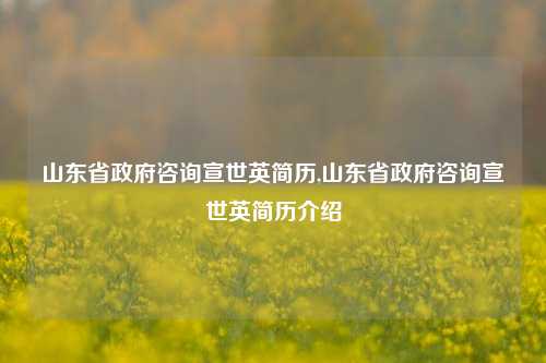 山东省政府咨询宣世英简历,山东省政府咨询宣世英简历介绍