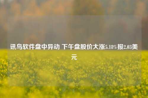 讯鸟软件盘中异动 下午盘股价大涨5.18%报2.03美元