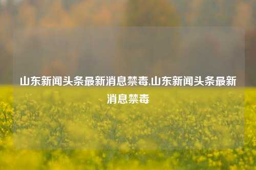 山东新闻头条最新消息禁毒,山东新闻头条最新消息禁毒