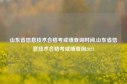 山东省信息技术合格考成绩查询时间,山东省信息技术合格考成绩查询2021