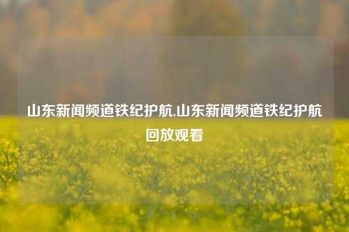 山东新闻频道铁纪护航,山东新闻频道铁纪护航回放观看