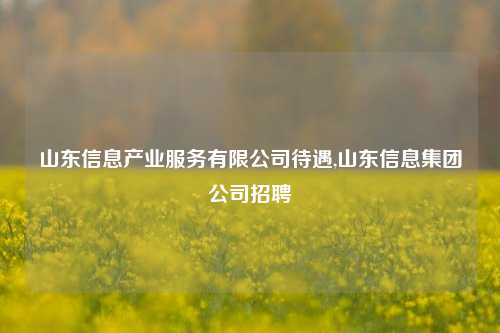 山东信息产业服务有限公司待遇,山东信息集团公司招聘