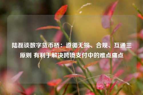 陆磊谈数字货币桥：遵循无损、合规、互通三原则 有利于解决跨境支付中的难点痛点