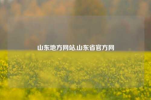 山东地方网站,山东省官方网