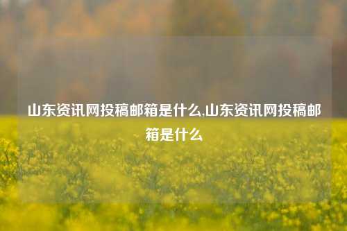 山东资讯网投稿邮箱是什么,山东资讯网投稿邮箱是什么