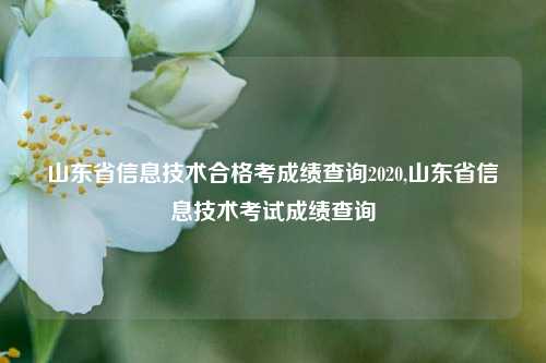 山东省信息技术合格考成绩查询2020,山东省信息技术考试成绩查询