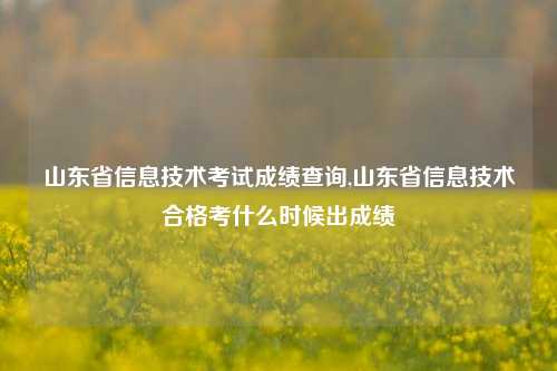 山东省信息技术考试成绩查询,山东省信息技术合格考什么时候出成绩