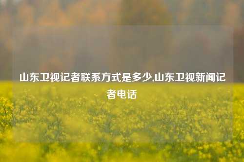 山东卫视记者联系方式是多少,山东卫视新闻记者电话