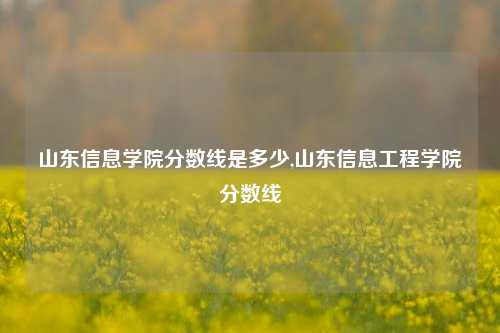 山东信息学院分数线是多少,山东信息工程学院分数线