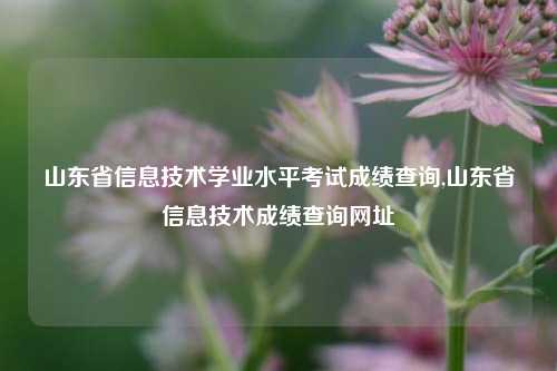 山东省信息技术学业水平考试成绩查询,山东省信息技术成绩查询网址