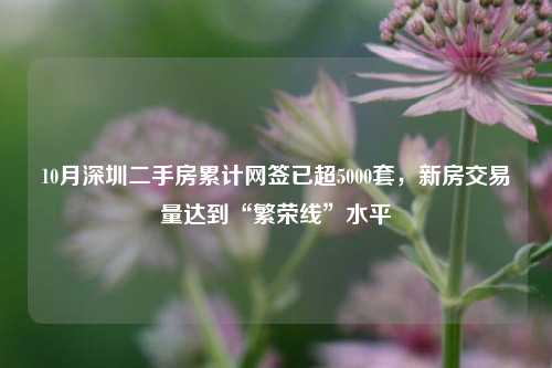 10月深圳二手房累计网签已超5000套，新房交易量达到“繁荣线”水平