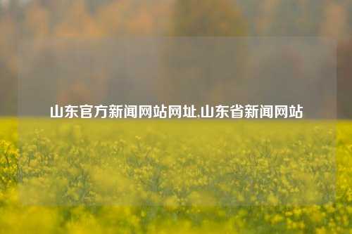 山东官方新闻网站网址,山东省新闻网站