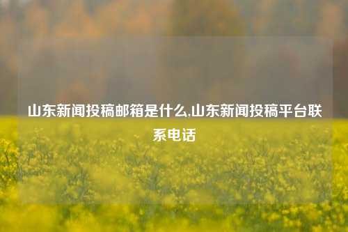 山东新闻投稿邮箱是什么,山东新闻投稿平台联系电话