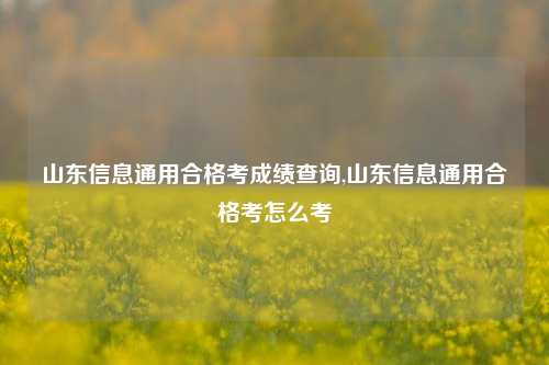 山东信息通用合格考成绩查询,山东信息通用合格考怎么考