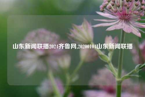 山东新闻联播2024齐鲁网,20200104山东新闻联播