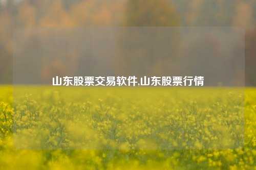 山东股票交易软件,山东股票行情