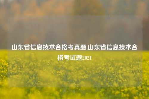 山东省信息技术合格考真题,山东省信息技术合格考试题2021