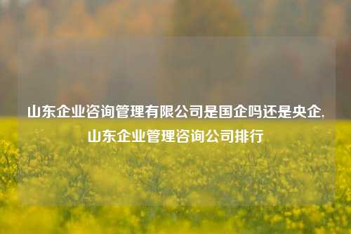 山东企业咨询管理有限公司是国企吗还是央企,山东企业管理咨询公司排行