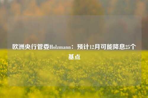 欧洲央行管委Holzmann：预计12月可能降息25个基点