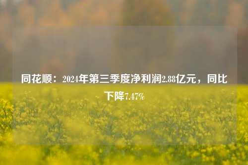 同花顺：2024年第三季度净利润2.88亿元，同比下降7.47%