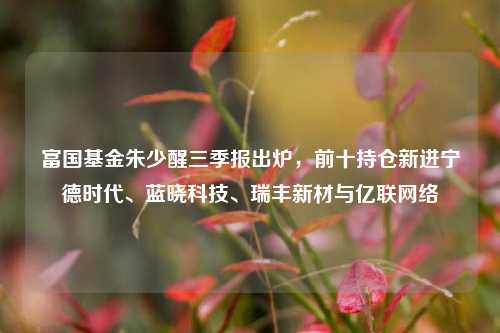 富国基金朱少醒三季报出炉，前十持仓新进宁德时代、蓝晓科技、瑞丰新材与亿联网络