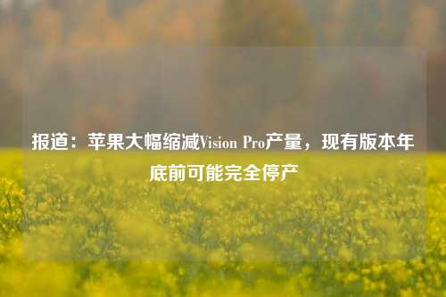 报道：苹果大幅缩减Vision Pro产量，现有版本年底前可能完全停产