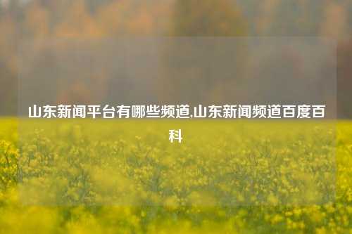 山东新闻平台有哪些频道,山东新闻频道百度百科