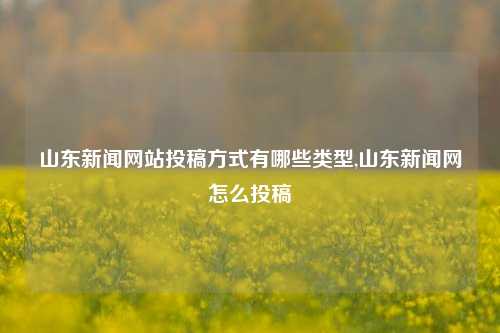 山东新闻网站投稿方式有哪些类型,山东新闻网怎么投稿