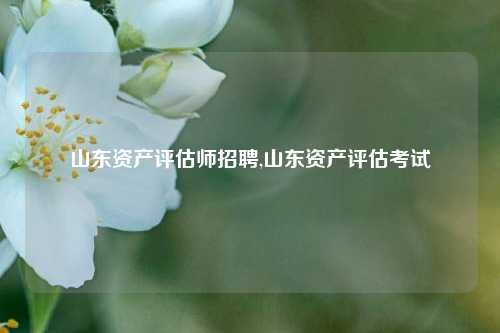 山东资产评估师招聘,山东资产评估考试