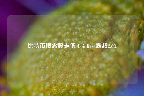 比特币概念股走低 Coinbase跌超2.6%