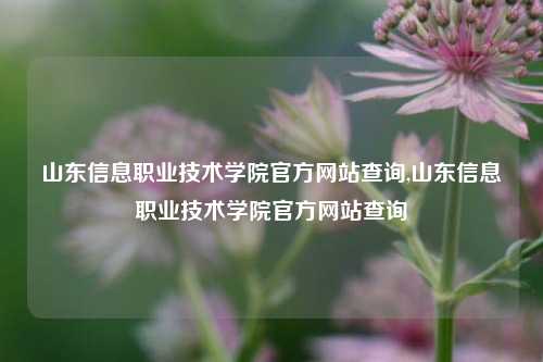 山东信息职业技术学院官方网站查询,山东信息职业技术学院官方网站查询