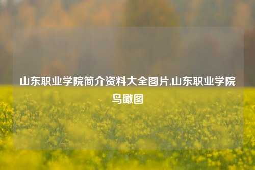 山东职业学院简介资料大全图片,山东职业学院鸟瞰图