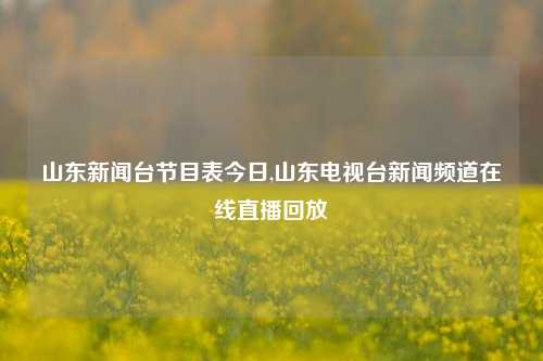 山东新闻台节目表今日,山东电视台新闻频道在线直播回放