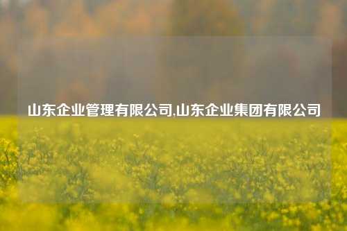 山东企业管理有限公司,山东企业集团有限公司