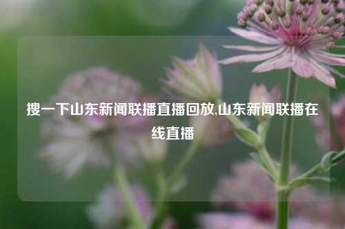 搜一下山东新闻联播直播回放,山东新闻联播在线直播