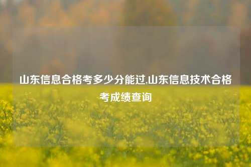 山东信息合格考多少分能过,山东信息技术合格考成绩查询