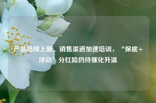 产品陆续上新、销售渠道加速培训，“保底+浮动”分红险仍待催化升温