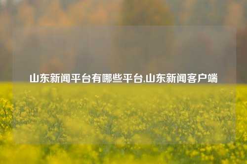 山东新闻平台有哪些平台,山东新闻客户端