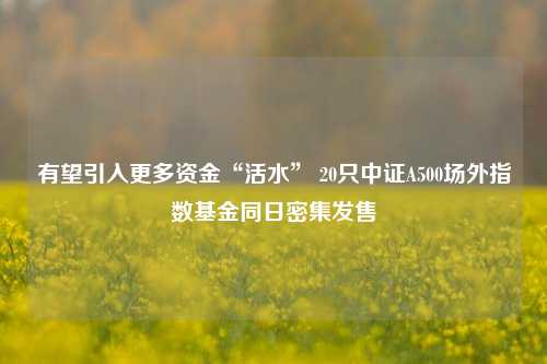 有望引入更多资金“活水” 20只中证A500场外指数基金同日密集发售