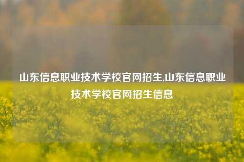 山东信息职业技术学校官网招生,山东信息职业技术学校官网招生信息